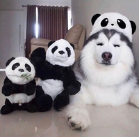 Où sont les pandas ?