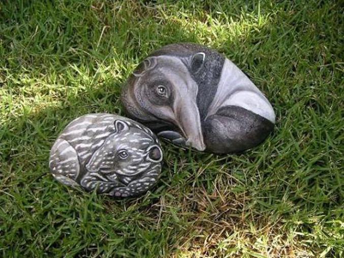 Des tapirs durs comme le roc.