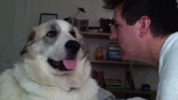 SlapDog