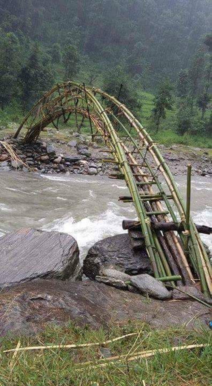 Le petit pont  de bambou 