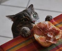 Si loin, si proche !