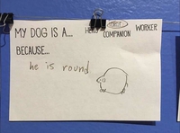 Mon chien est un ... parce que...