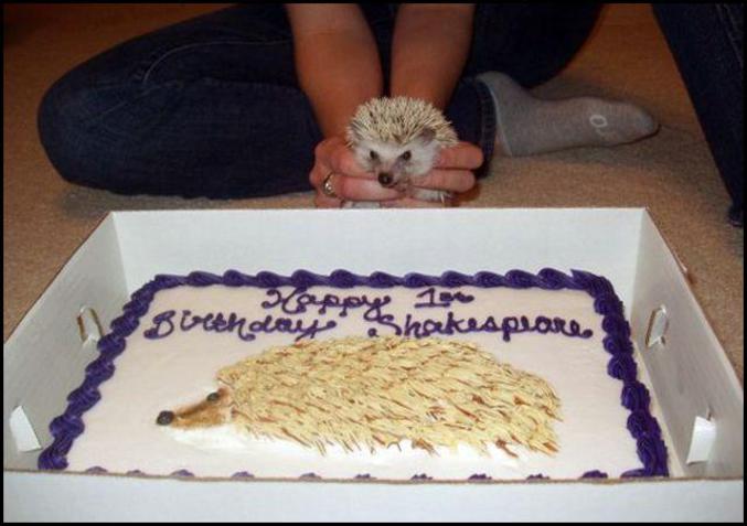 Un gâteau d'anniversaire pour un hérisson.