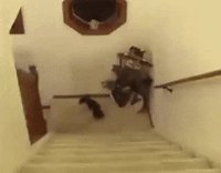 Kan tu as trop joué au Serpent