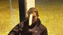Une licorne