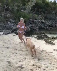 Un beau de cul de blonde se fait maraver par une bande porcs sur une plage !