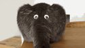 Un chéléphant