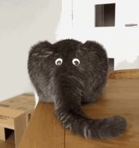 Un chéléphant