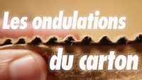 Histoires de toncar (1)