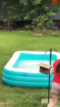 Laisse moi te sauver !