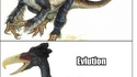 Evlution