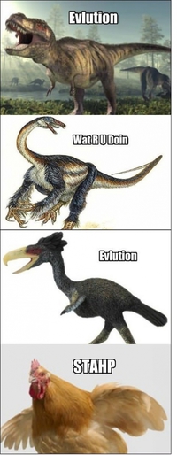 Evlution