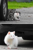 Quand tu laves plus blanc que blanc ...