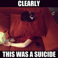 Cause de la mort ?
