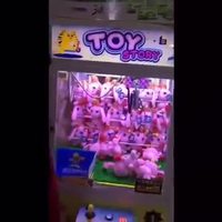 Le roi des machines à pinces