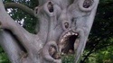 Arbre flippant