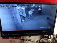 China - the action boar