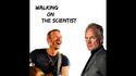 Walking on the scientist (Coldplay vs The Police)