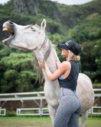 Un cheval qui rigole