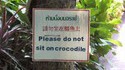Ne pas s'asseoir sur les crocos