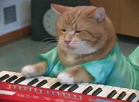 Keyboard cat 2.0