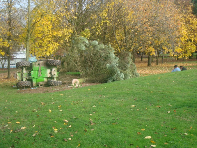 Arbre : 0 - Grue : 0.  Match nul !