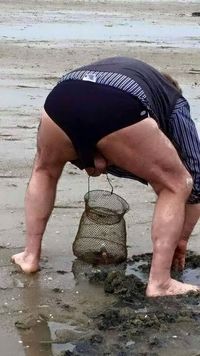 Cueillette sur la plage...