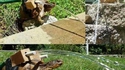 Tortank