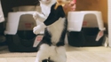 Kung-chat