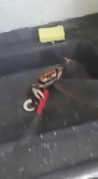 Duel à l'arme blanche