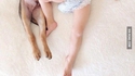 Dormir avec son chien