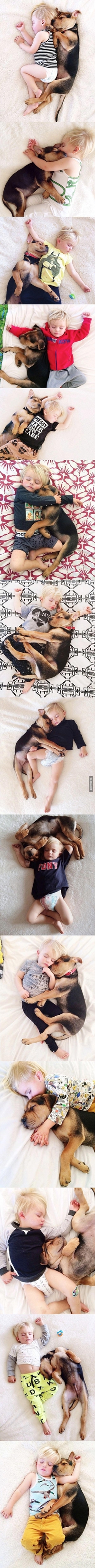 Dormir avec son chien