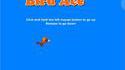 Bird Ace