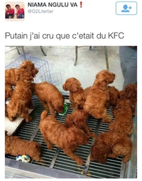 Hot dog KFC