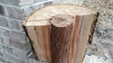 Arbre-ception