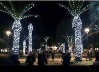 Décoration de Noël sur palmiers