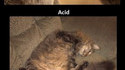 Les effets de la drogue 2