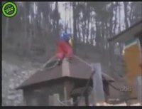 Compilation de fails d'hiver 2011