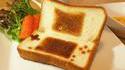 Toast DS