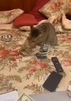 J’ai de plus en plus des soupçons 