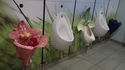 Des toilettes agréables...