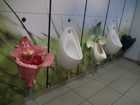 Des toilettes agréables...