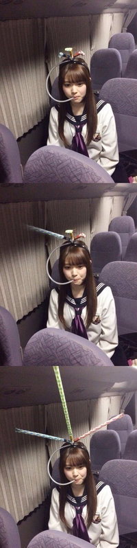 Une japoniaiserie