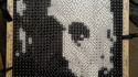 Portrait de Einstein réalisé avec des dés