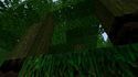 Minecraft Predator