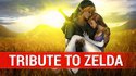 Hommage pour les 30 ans de ZELDA 