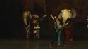 Tigre au ballet