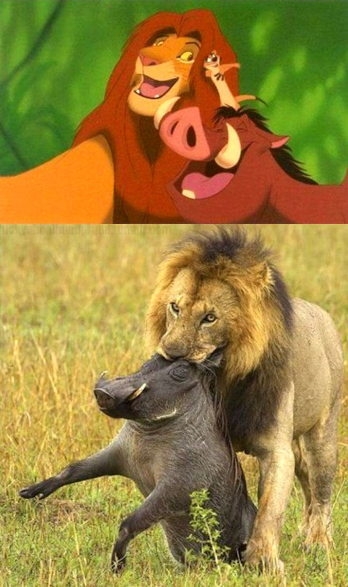 Lion King is a lie.