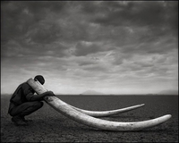 Déguisement d'éléphant