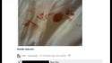 Les idiots de Facebook 13